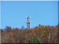 Mast on Parkwood Springs Hill, Sheffield