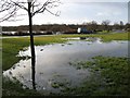 Flooded grassland, Lochend Loch