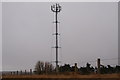 Radio Mast near Guthrie Hill