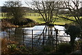 Pond at Little Coxwell