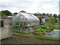 Chiswick allotments