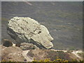 Agglestone Rock