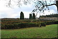 Millennium maze at Doxford Hall