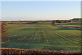 Ploughed fields near Dukesfield farm