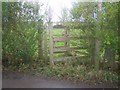 Kissing Gate on Hawks Hill Lane