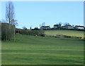 2009 : Pasture on Mill Lane