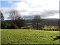 ST4058 : Looking across Banwell Castle grounds by Tim Lethaby