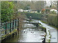 River Frome, Dorchester