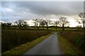 Well Manicured Lane