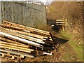 Attenborough Nature Reserve Path and stile