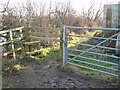 Attenborough Nature Reserve Path and stile