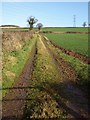 Track across field, Upper Cheddon