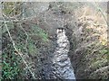 Manor Park Toton stream