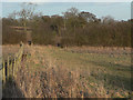 Footpath from Lambley