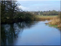 SU1413 : River Avon near Bickton by Maigheach-gheal