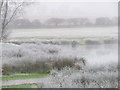 SU2945 : Thruxton - Mullens Pond by Chris Talbot