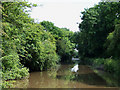 The Coventry Canal, Bedworth, Warwickshire