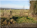 Gate into field near Out Elmstead