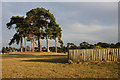 Cross-country training ground, Herringswell