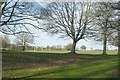 Playing Fields - Roundhay Park, Prince