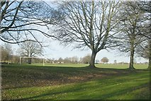 SE3237 : Playing Fields - Roundhay Park, Prince's Avenue by Betty Longbottom