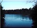 Artificial Lake At Centerparcs, Elveden Forest