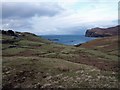 Grazing land, Upper Milovaig