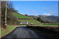 Minor road heading for Cwm Rheidol