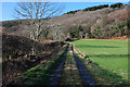 Track to Coed Bronllangwrda