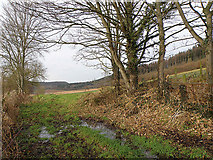 SO6221 : Herefordshire Farmland by Stuart Wilding