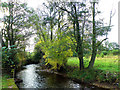 Afon Honddu, Pandy