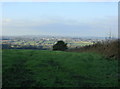 2009 : Pasture north west from Shepherd