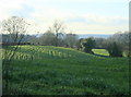 2009 : Farmland near Cole Hill