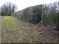 Footpath and Hedge Line