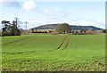 View west from Burghill