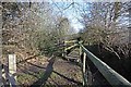 Footpath & Bridleway, Moor Lane, Cranham, Essex