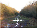 SP3967 : Old railway, Marton moor (6) by Andy F