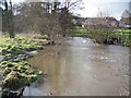 The River Nadder, Tisbury