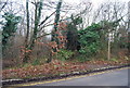 Footpath leading off Park Wood Rd, University of Kent