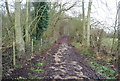 Footpath near Blean