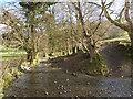 Small stream near Clynmawr