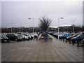 Bike Shed at the Gyle