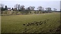 The Glebe Field, Heddon on the Wall