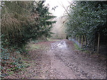 TQ2629 : Sussex Ouse Valley Way path into Access land by Dave Spicer