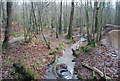 Small Stream, Stock Wood