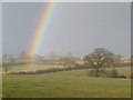 Hazelbury Bryan: tree and rainbow