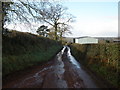 Sanctuary Lane, Hatherleigh