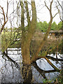 Flooding, Wannock Glen