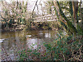 Bridge over the River Towy/Afon Tywi