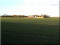 Farmland at Ribbonfield